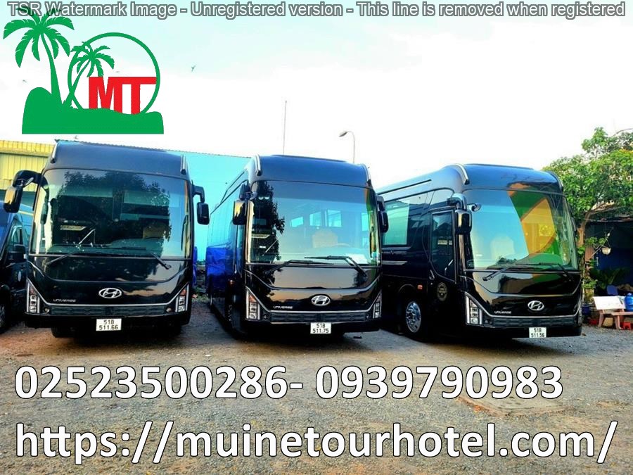 thue-xe-limousine-15-cho-gia-re-muinetourhotel (14).jpg (187 KB)