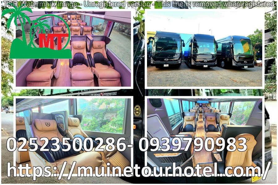 thue-xe-limousine-15-cho-gia-re-muinetourhotel (7).jpg (216 KB)