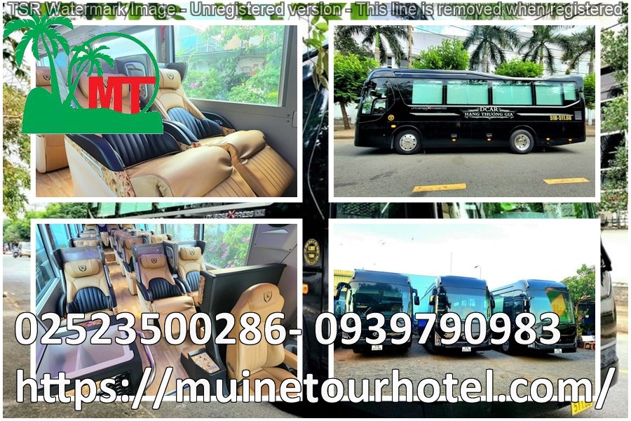 thue-xe-limousine-15-cho-gia-re-muinetourhotel (8).jpg (218 KB)