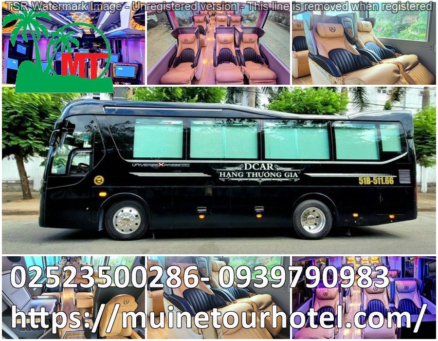 thue-xe-limousine-15-cho-gia-re-muinetourhotel (9).jpg (238 KB)