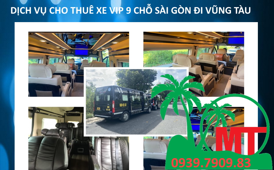 9 seater LIMOUSINE to Vung Tau