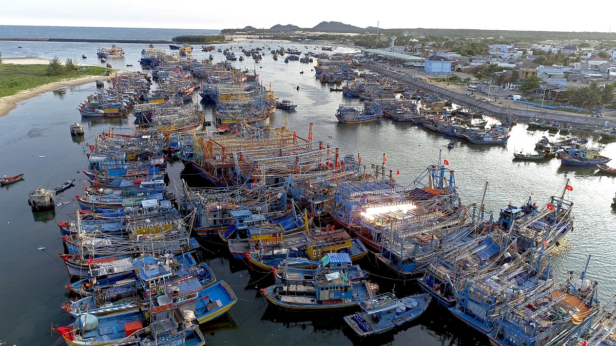 Binh Chau fishing port.jpg (479 KB)