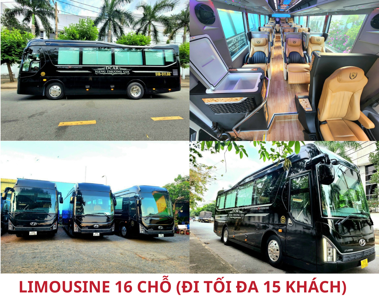 limousine-16-for-travel-toi-da-15-passenger.png (2.26 MB)