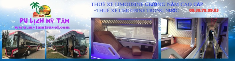 xe-limousine-giuong-nam-cao-cap.jpg (94 KB)