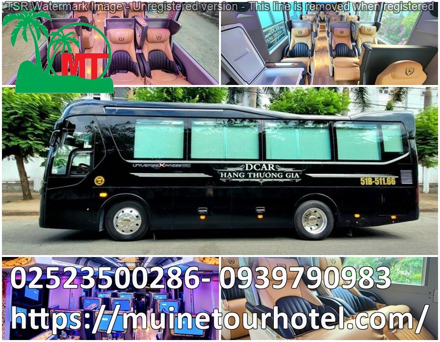 thue-xe-limousine-15-cho-gia-re-muinetourhotel (11).jpg (231 KB)