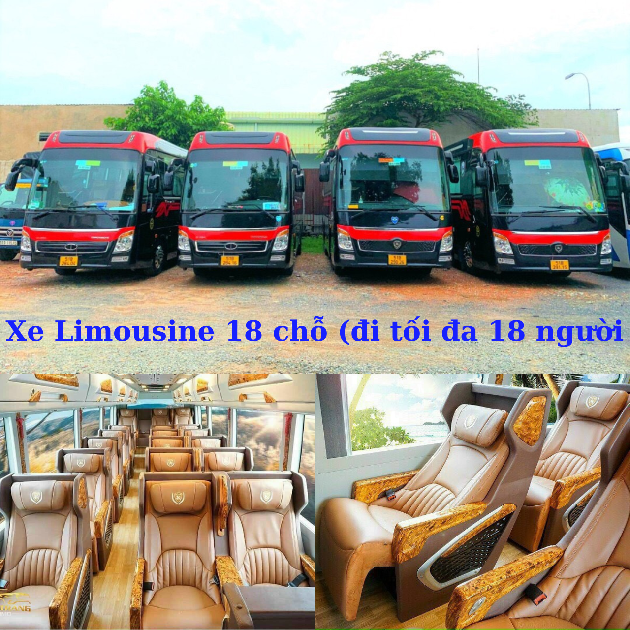 Rent an 18-seat Limousine (maximum 18 passengers)