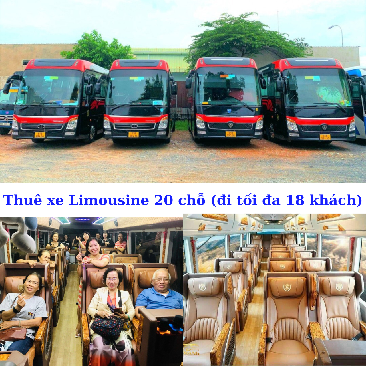 Rent a 20-seat Limousine (maximum 18 passengers)