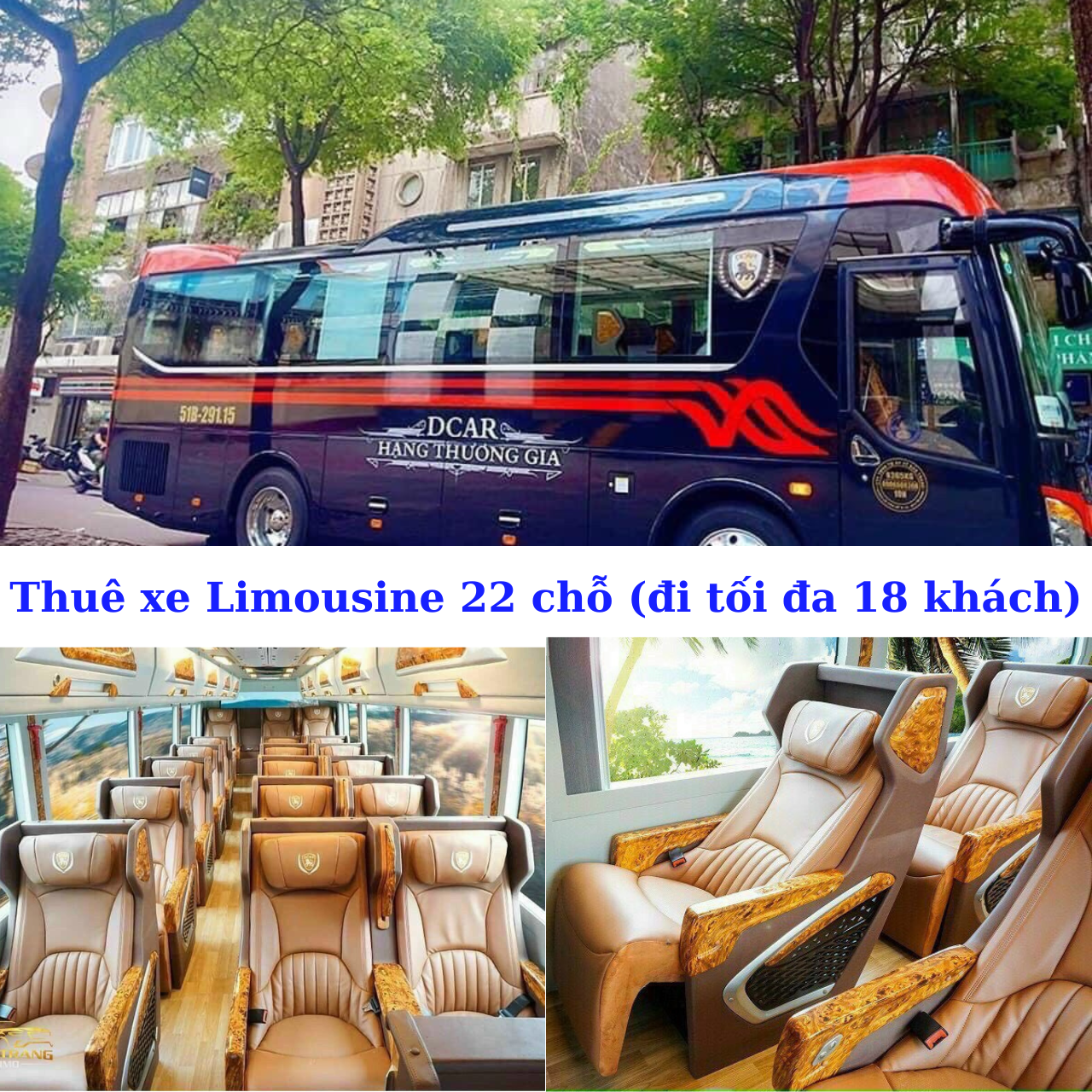 Rent a 22-seat Limousine (maximum 18 passengers)