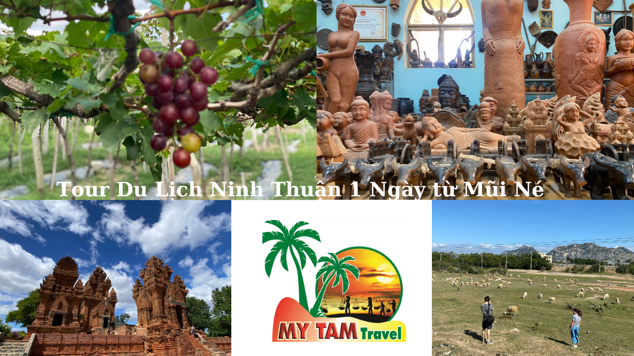 Tour Các Điểm Du Lịch Ninh Thuận